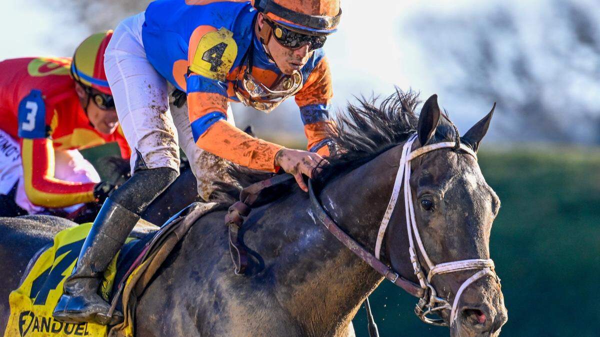 Forte is the 5-2 morning-line favorite for Saturday night’s Belmont Stakes.