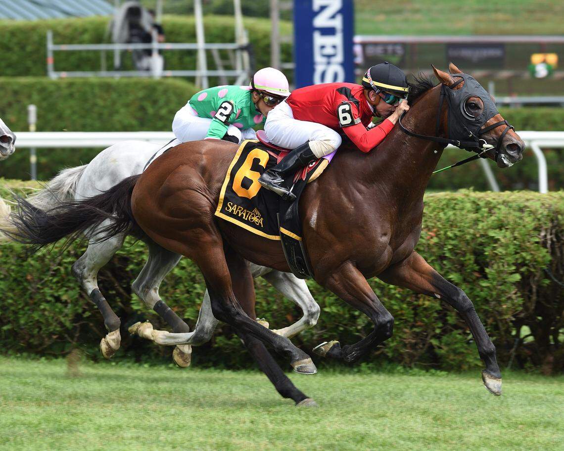 Leinster won the Grade 3 Troy Stakes at Saratoga on Aug. 3. Since then, he’s run third in the Grade 3 Runhappy Turf Sprint Stakes at Kentucky Downs on Sept. 7 and second in the Grade 2 Woodford Stakes at Keeneland on Oct. 5. Leinster joins fellow Rusty Arnold trainee Totally Boss in Saturday’s Breeders’ Cup Turf Sprint at Santa Anita.