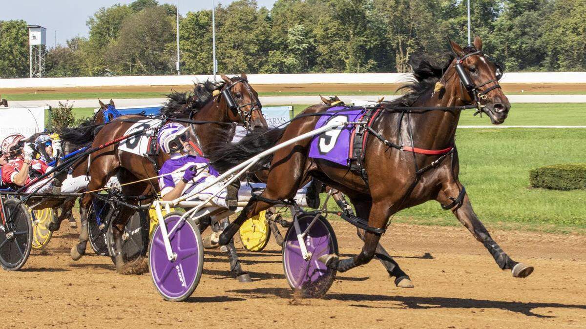 Test of Faith (9) was named Horse of the Year by the U.S. Harness Writers Association on Sunday. Kentucky football staffer Eddie Gran is an owner of the 3-year-old filly.