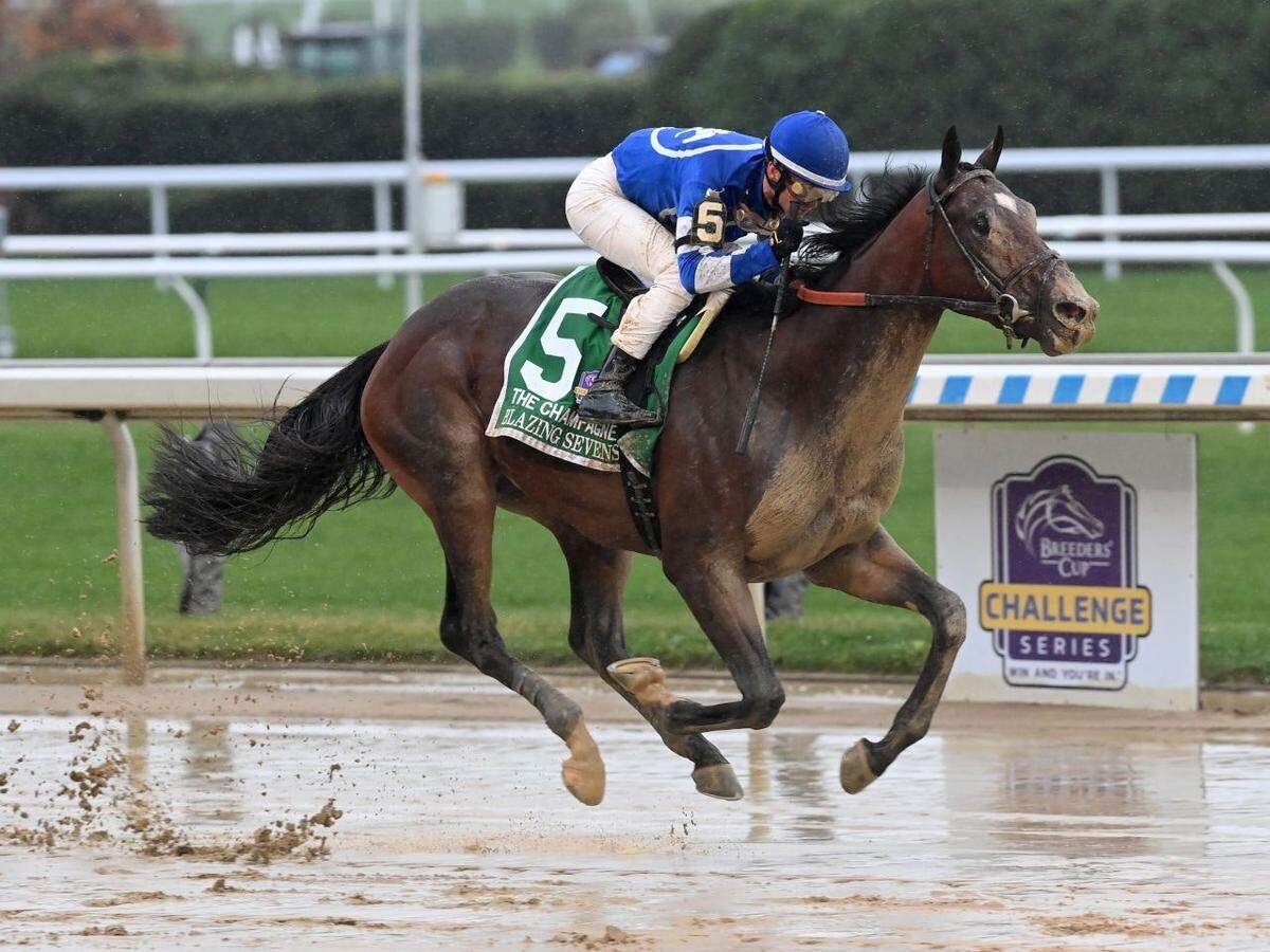 Blazing Sevens made a splash in winning the Grade 1 Champagne Stakes last fall but has accomplished little since then. Is he capable of a bounce-back Saturday?
