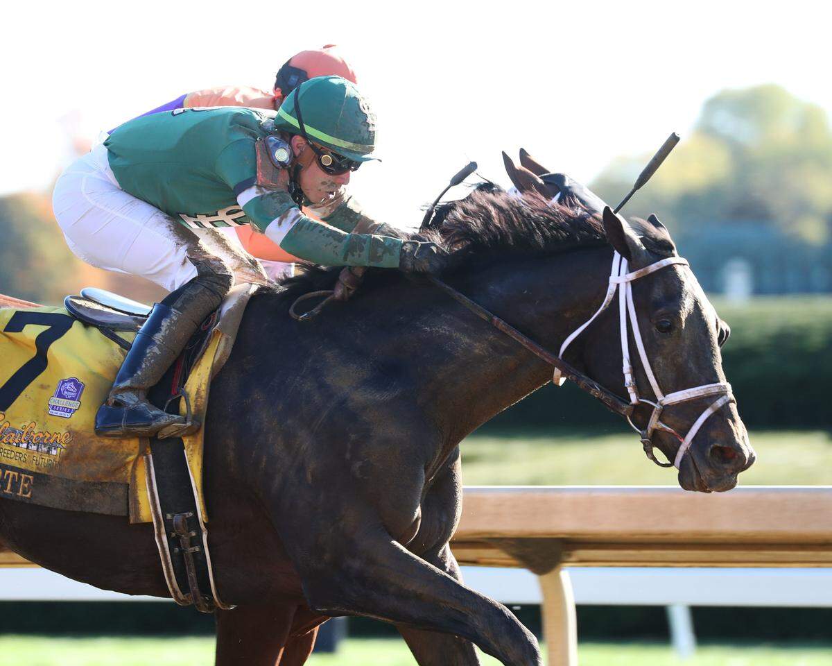 Forte, in the foreground, edges Loggins in the Breeders’ Futurity, a Kentucky Derby prep race at Keeneland on Oct. 8.