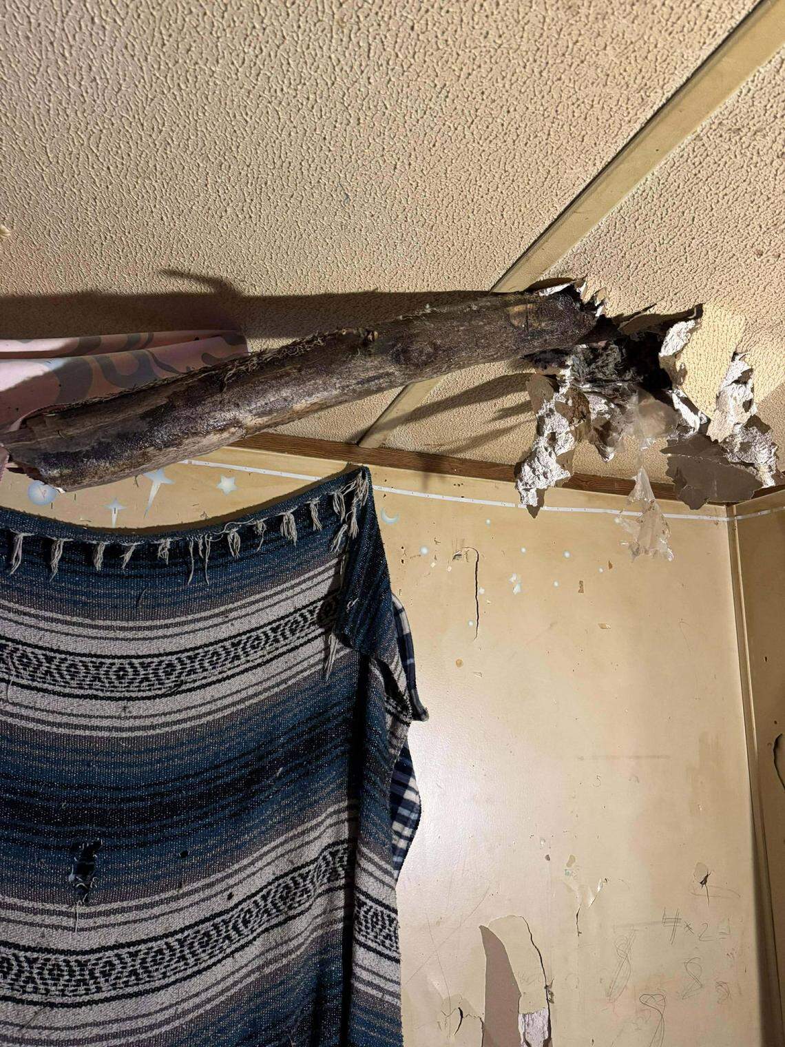 A large tree limb fell through the roof of a home on Witten Lane in Johnson County, Ky., injuring one woman.