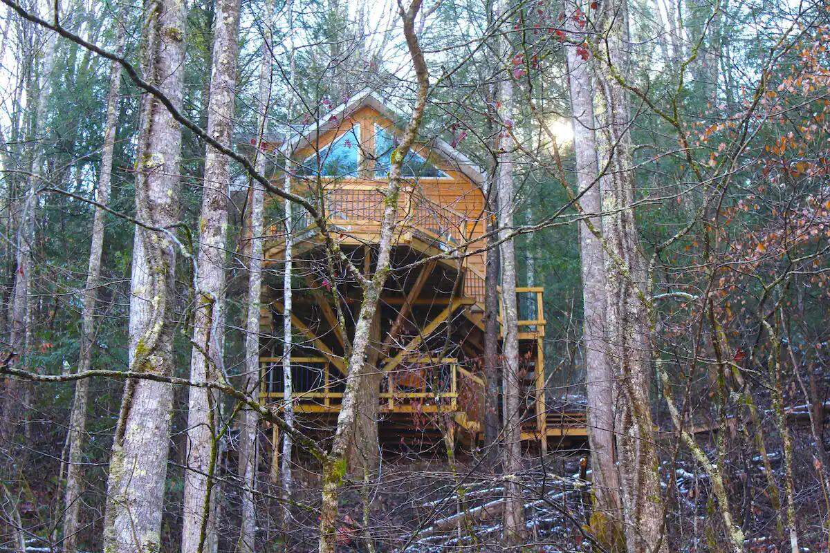 The Lions Lair towers in a winter forest bare of leaves.