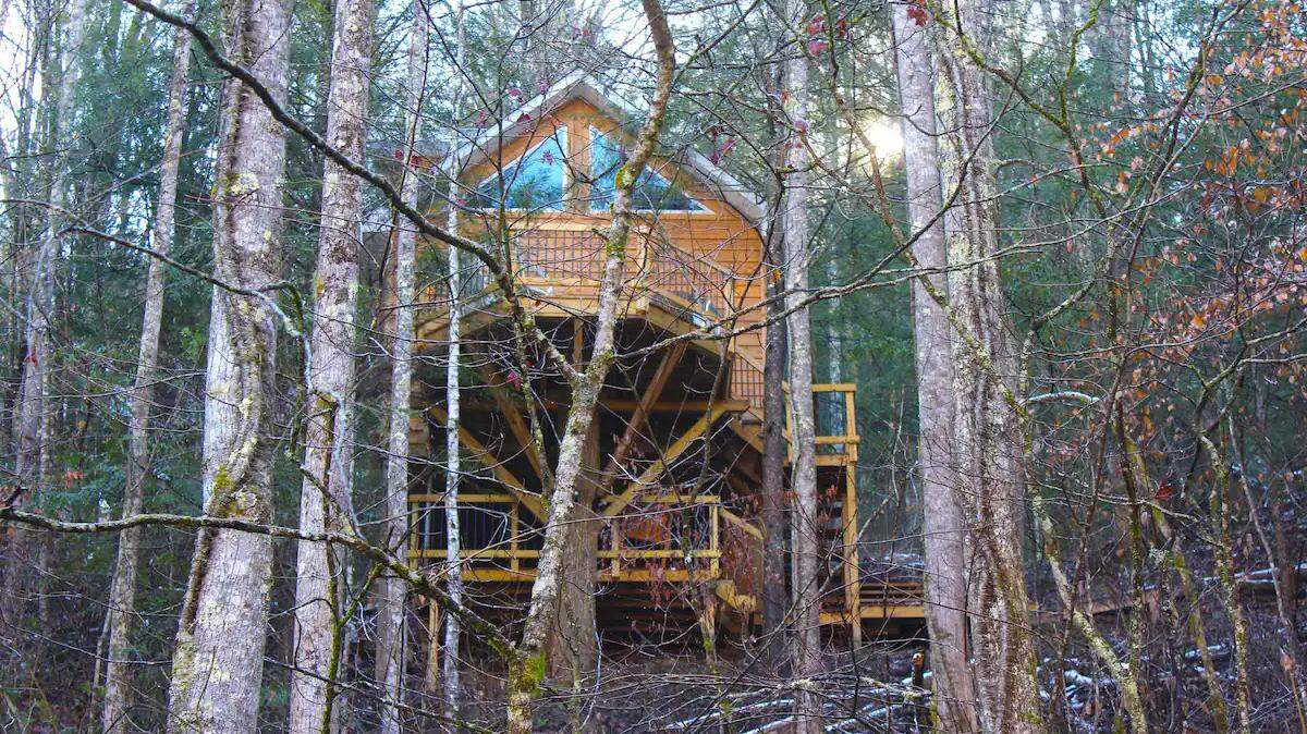 The Lions Lair towers in a winter forest bare of leaves.