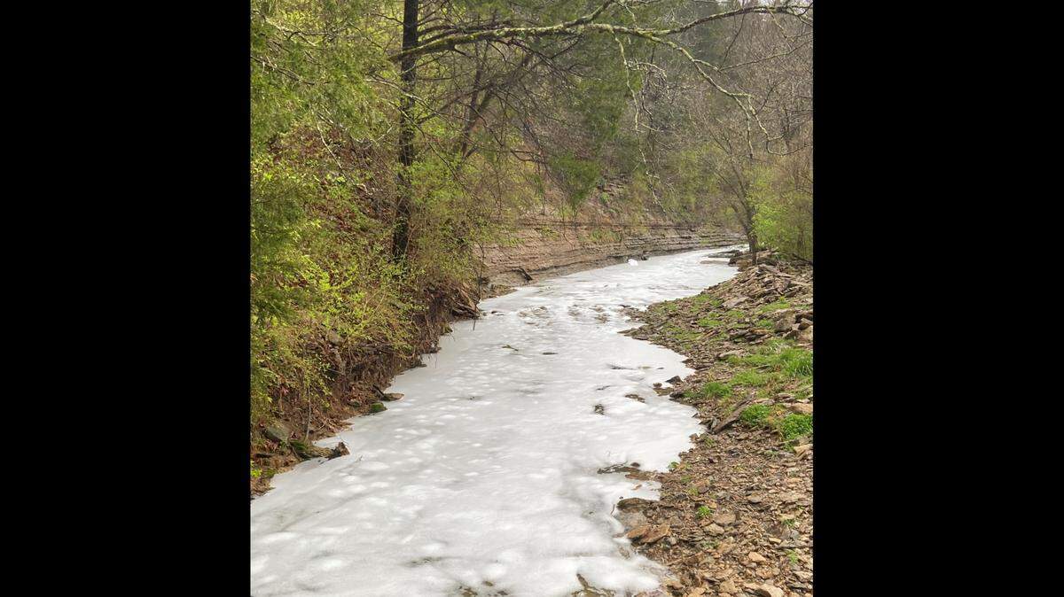 A release of dog shampoo from a nearby pet product company caused a Kentucky creek to foam up on Tuesday, April 5, 2022. The foam wasn’t harmful to animals, state officials say.