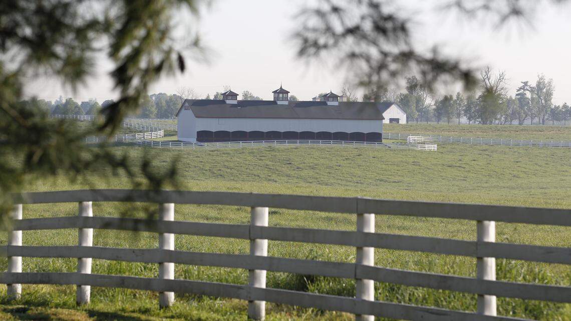 A barn on the Calumet Horse Farm on Versailles Rd. in Lexington, Ky., Thursday, April 19, 2012. Charles Bertram | Staff