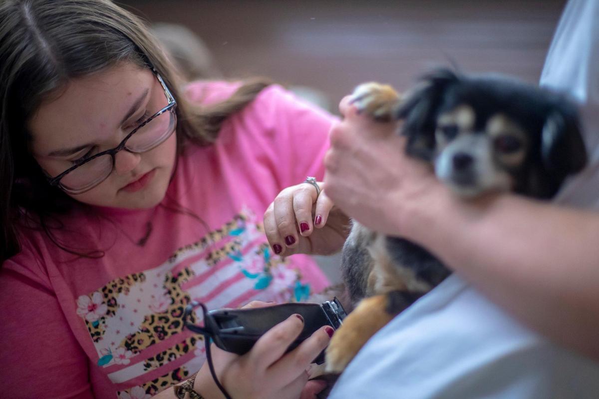 Annie gets a summer clip from Brooklyn Scarberry as Boyd Glass, both seniors at Greenup County High School, holds her.