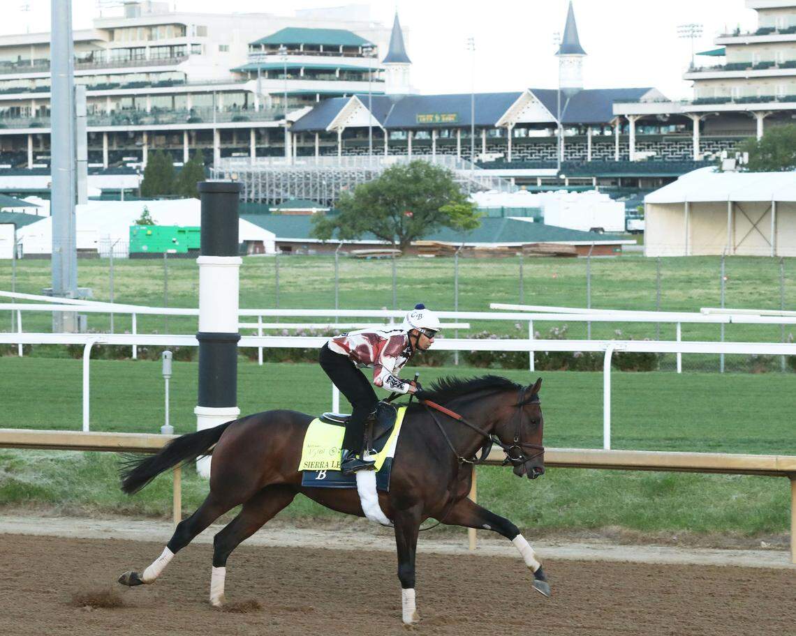 Kentucky Derby hopeful Sierra Leone gallops at Churchill Downs on April 23. His name comes from his sire, Gun Runner, because there is a lot of arms dealing in Sierra Leone, Africa.
