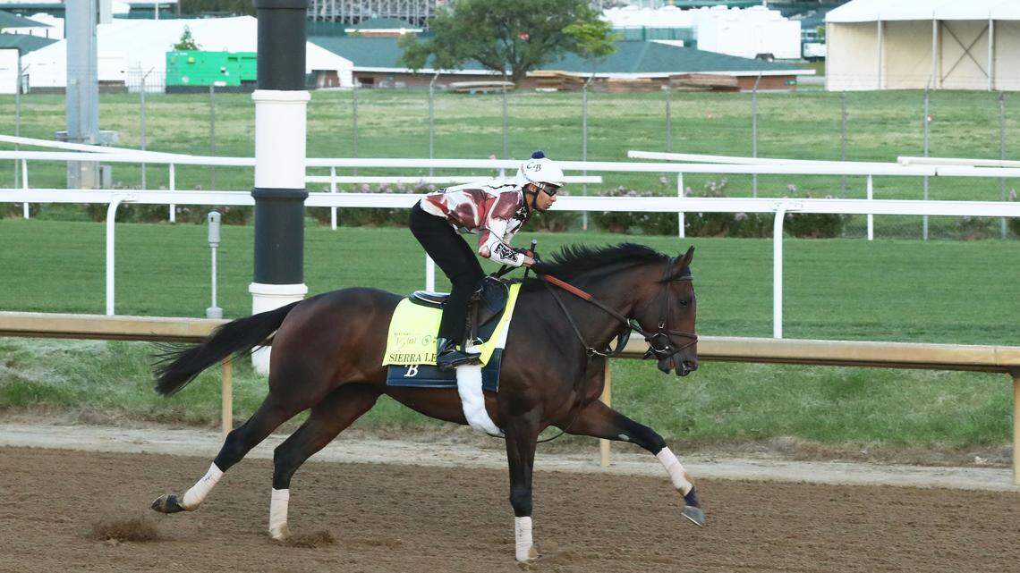 How every horse in the 2024 Kentucky Derby got its name and why it’s such a challenge