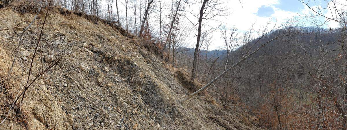 Kentucky Heartwood, which works to protect the integrity of native forests in Kentucky, said this landslide occurred in a section of the Daniel Boone National Forest in Eastern Kentucky.