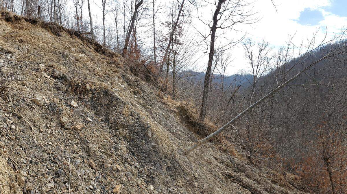 Kentucky Heartwood, which works to protect the integrity of native forests in Kentucky, said this landslide occurred in a section of the Daniel Boone National Forest in Eastern Kentucky. The threat of landslides is one reason Heartwood is suing the Forest Service over a proposed logging project.