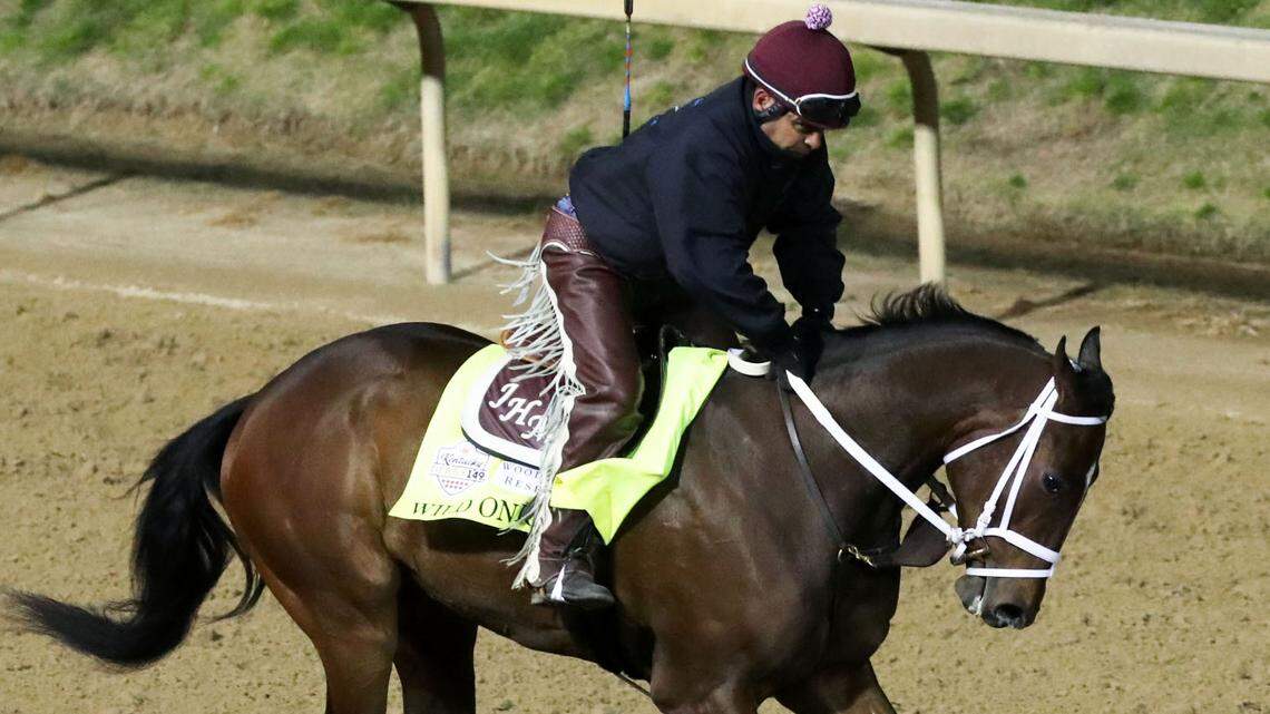 UPDATE: Kentucky Derby contender euthanized after suffering leg injury in training