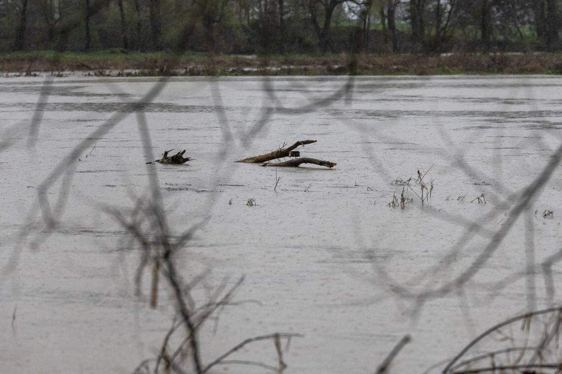 Water floods a field along U.S. Route 127 in Casey County, Ky., on Friday, April 4, 2025.
