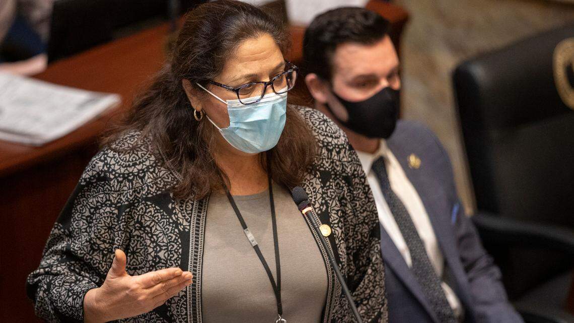 Kentucky state Sen. Karen Berg, D-Louisville, speaks during a special legislative session dealing with COVID-19.