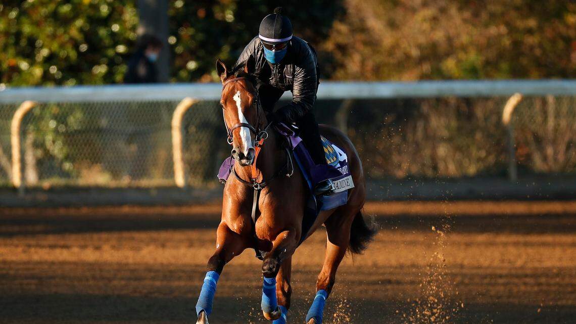 Want to bet on Breeders’ Cup at Keeneland? Here are some options, and some advice.