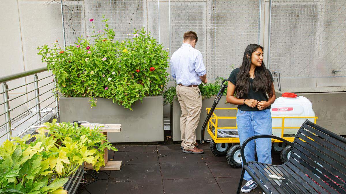 BCTC graduates Xochilt Bautistia and Colin Olaughlin bring water tanks and a green thumb to the student-led rooftop community garden project, which services the campus food pantry and addresses food insecurity in the region on August 7, 2025, in Lexington, Ky.