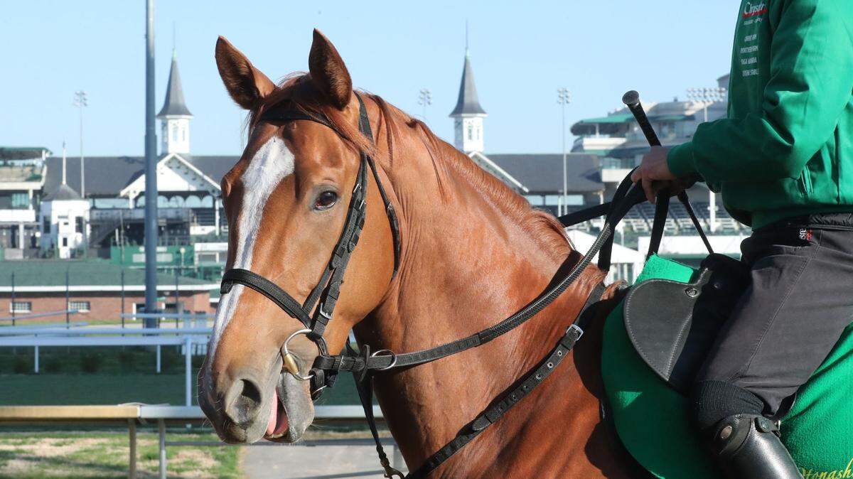 Handicapping the 2023 Kentucky Derby: Best bets, long shots and more advice on the race