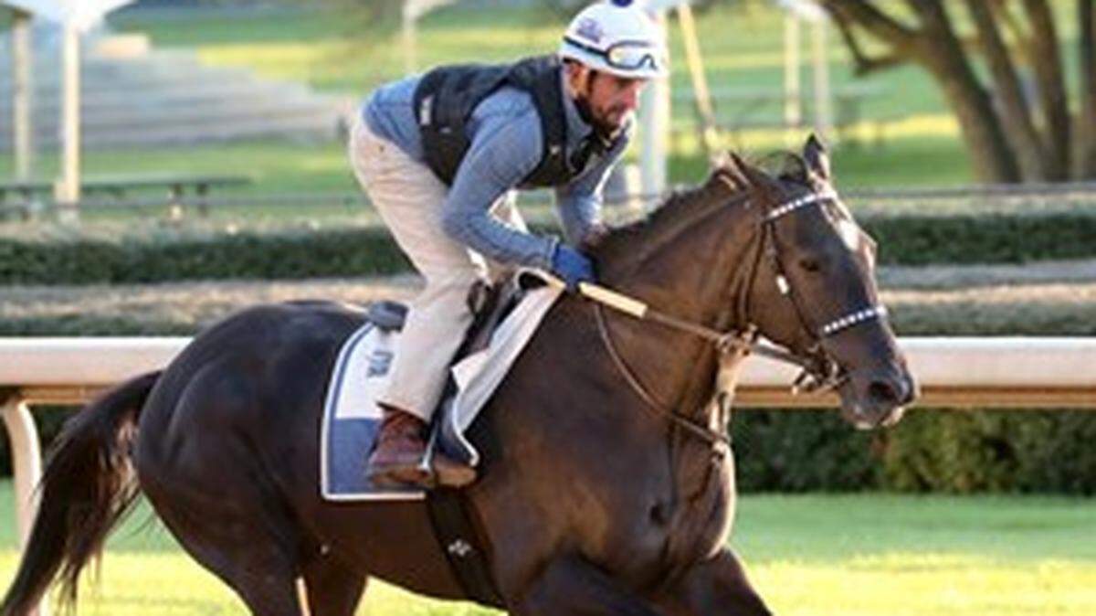 Mendelssohns March is 20-1 on the morning line for Saturday’s Blue Grass Stakes at Keeneland but is the only undefeated horse in the field of 11.