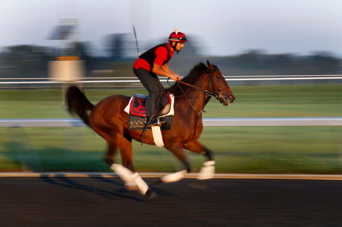 An exercise rider worked a horse early Wednesday on the training track at Keeneland Race Course as preparations continued for the opening of the Fall Meet on Friday.