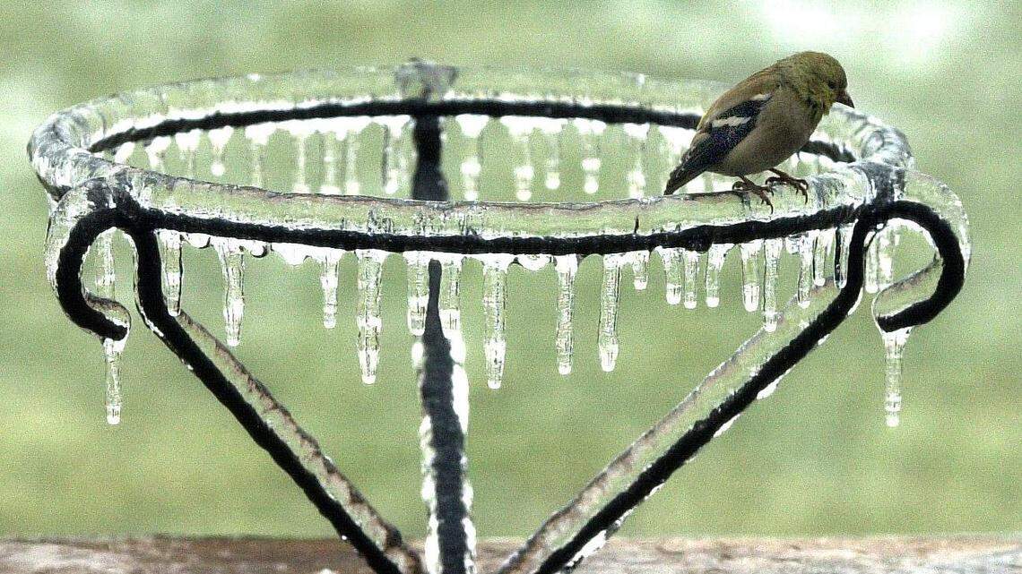 ‘Ice is dangerous.’ Lexington’s plan to handle roads, hazardous conditions in winter storm