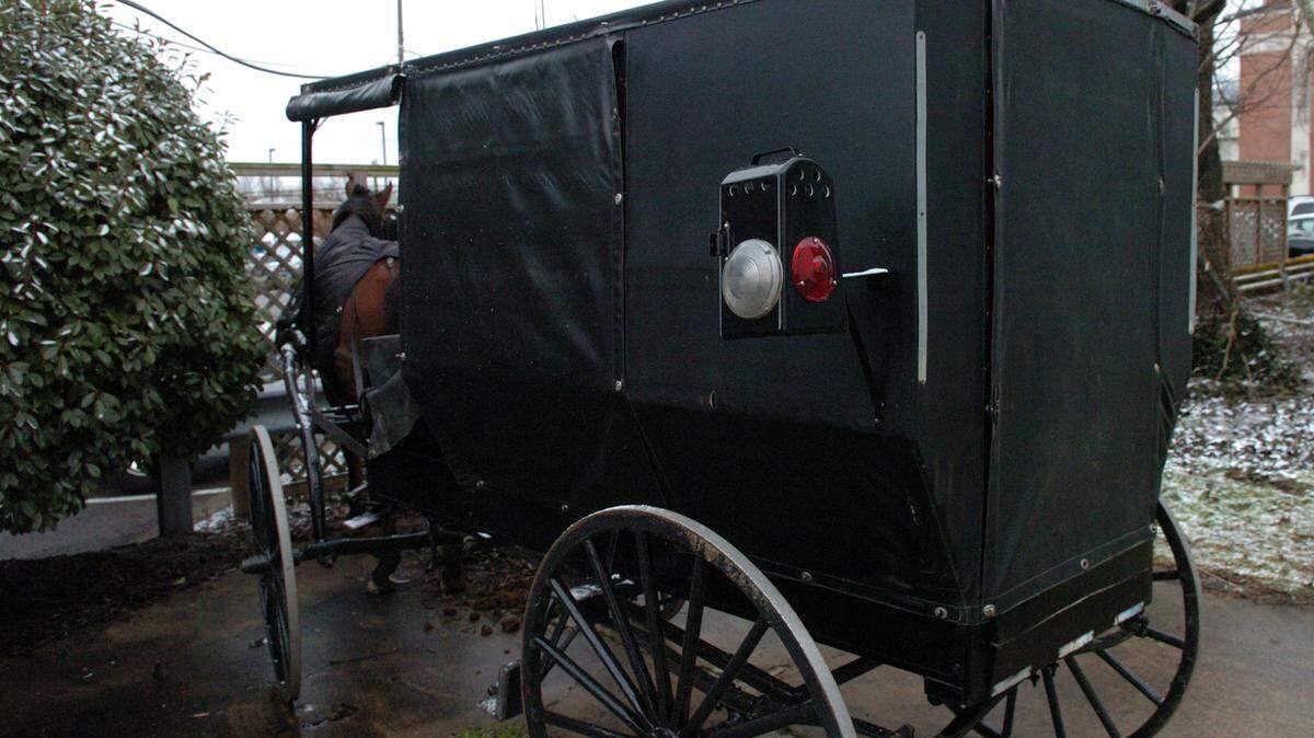 Amish Buggy Fight