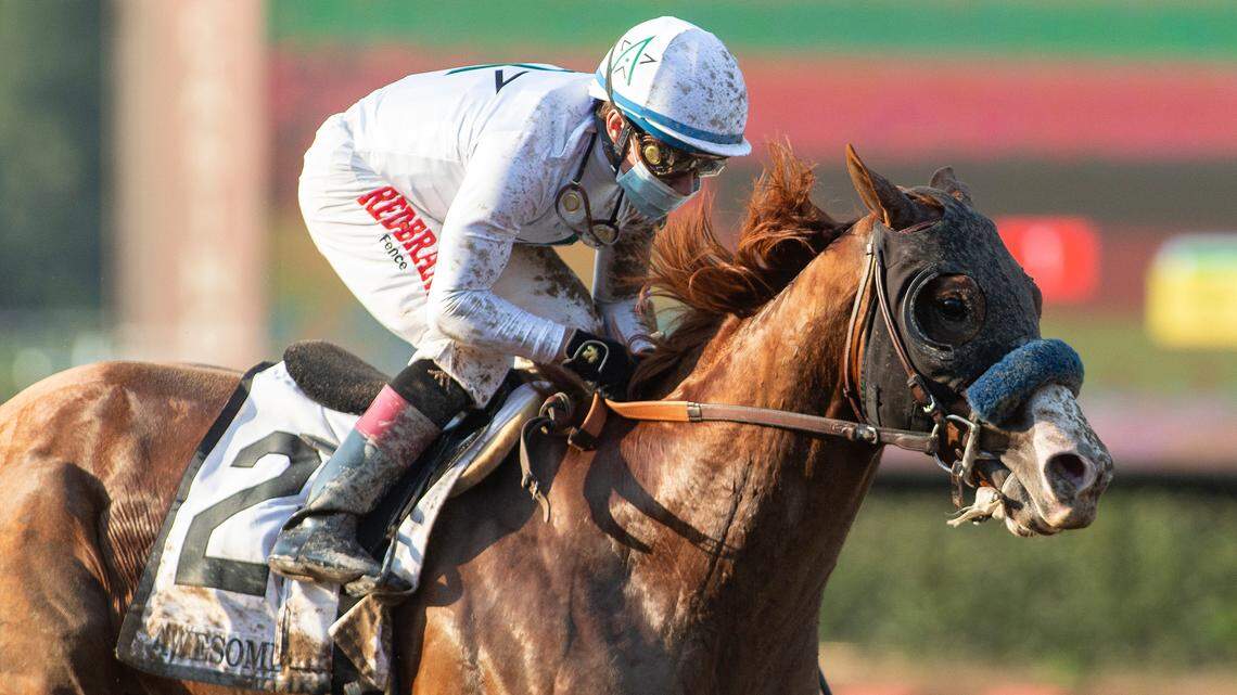 Eleven, including a filly, pre-entered for loaded Breeders’ Cup Classic at Keeneland