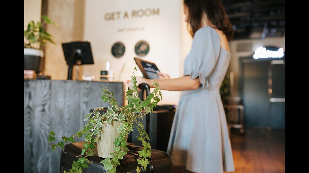 Elwood, a boutique hotel in Lexington, will soon offer new “plant-friendly” accommodations.