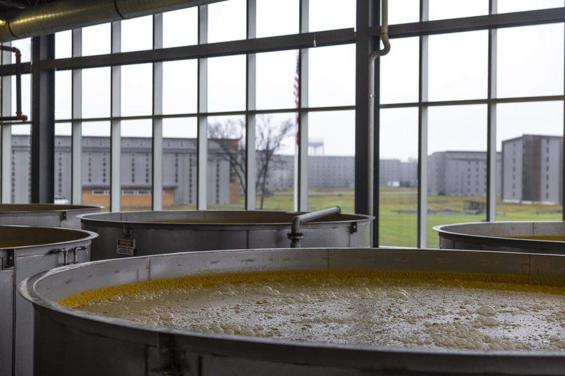 Bourbon ferments at Bardstown Bourbon Company in Bardstown, Ky., on Wednesday, Nov. 19, 2025.