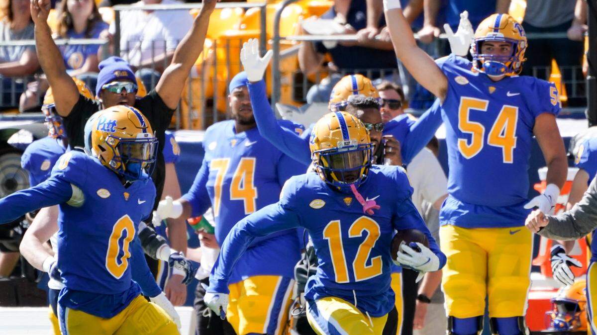 Old faces in new places: Ex-Cats football players are flourishing at new schools