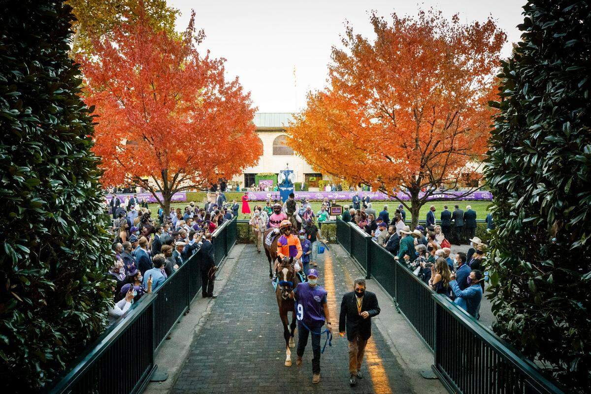 Authentic, with John Velazquez up, leaves the paddock to race in — and win — the Breeders’ Cup Classic the last time the event was held at Keeneland in 2020.