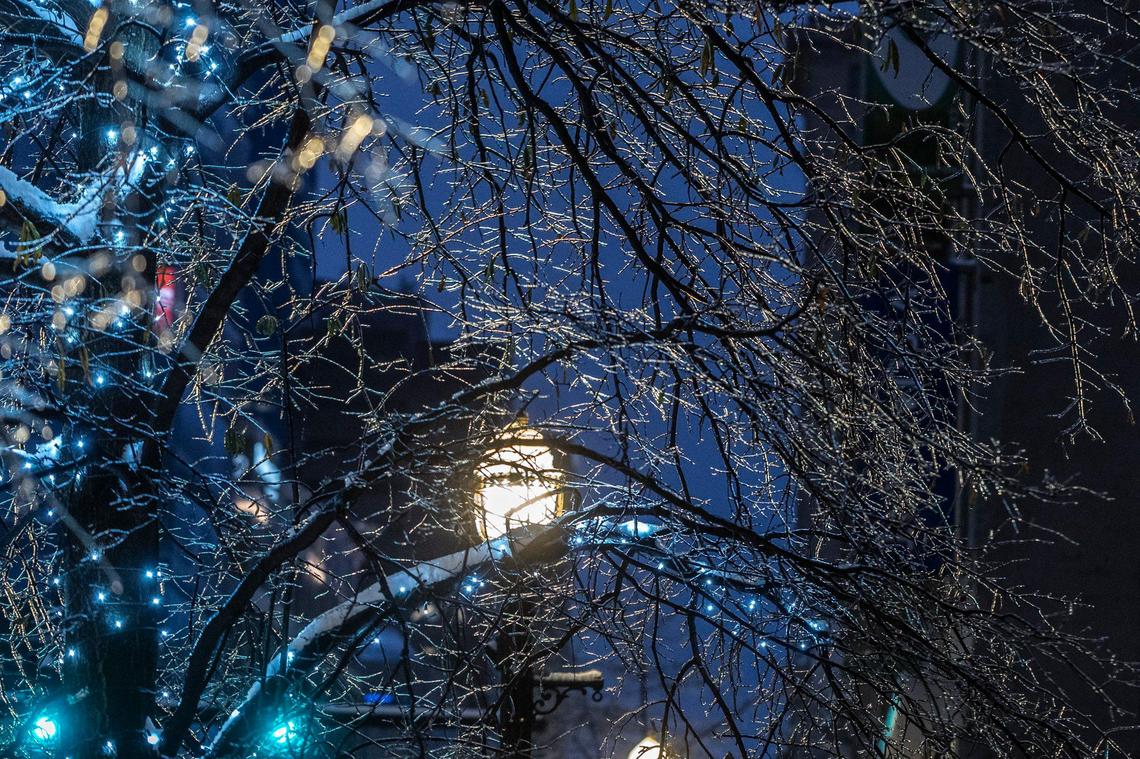 Ice encases tree branches in downtown Lexington, Ky., on Monday, Jan. 6, 2025.