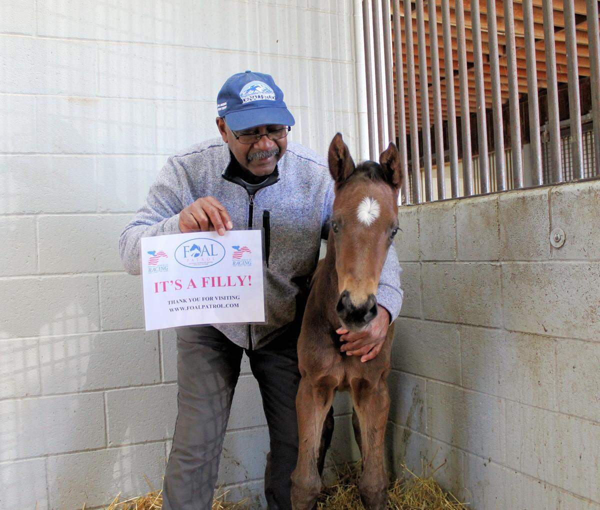 A photo posted by Denali Stud in the gallery for Lassofthemohicans showed off her baby, born April 6, with a sign saying, “It’s a filly! Thank you for visiting www.foalpatrol.com.”
