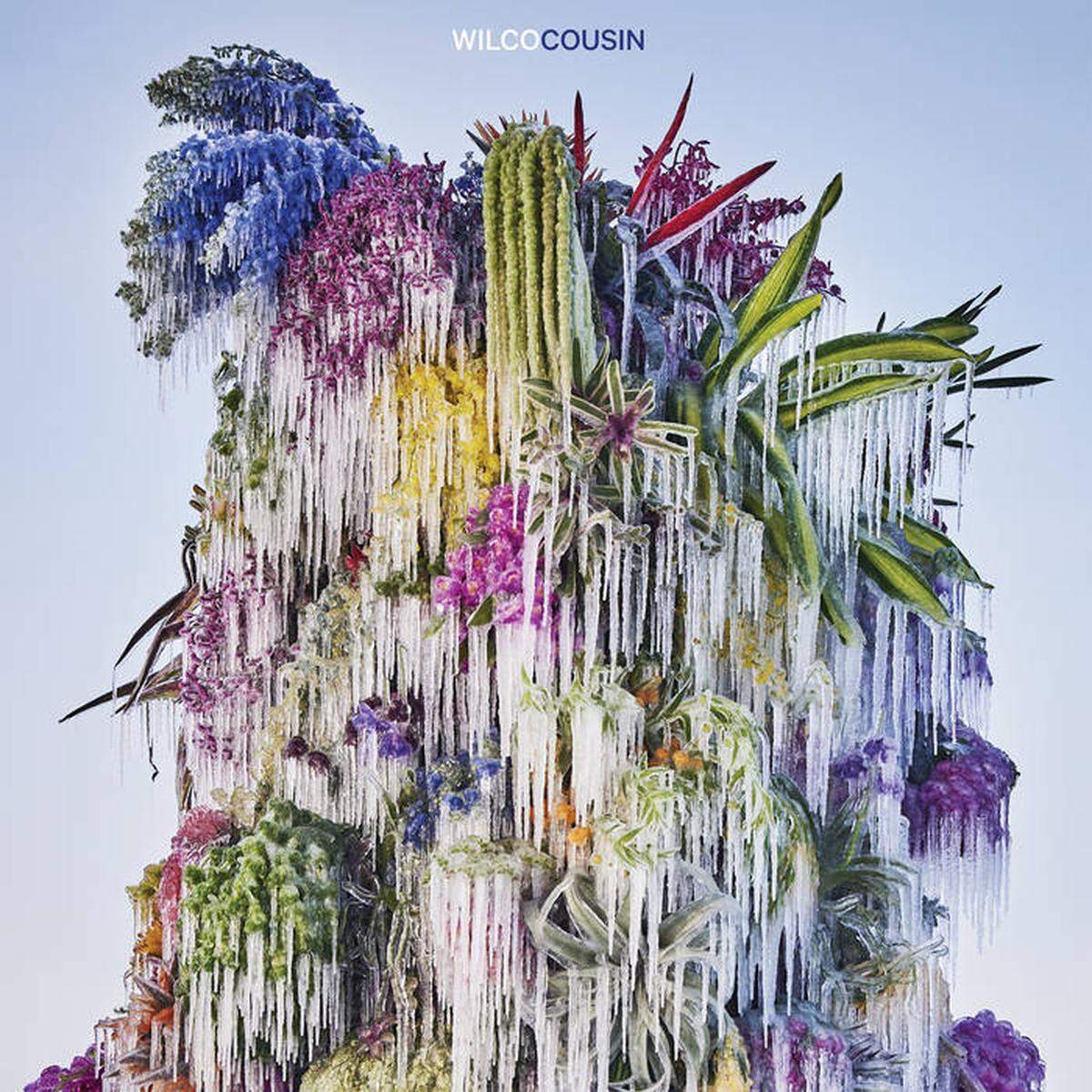 Wilco, Cousin