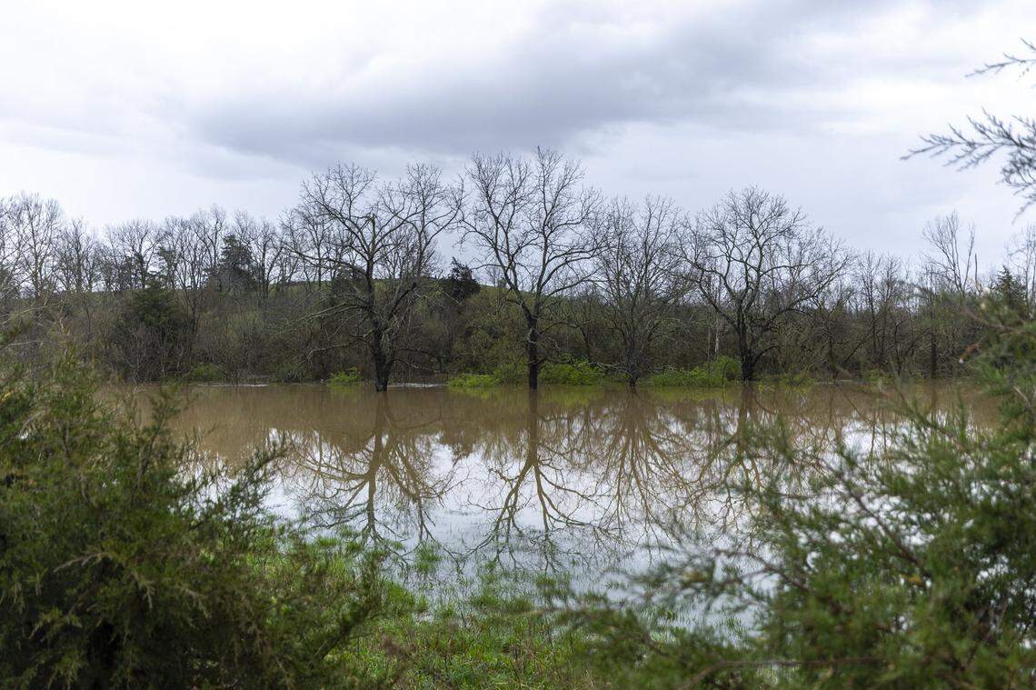 Walnut Flat Creek floods a field near Preachersville Road in Lincoln County, Ky., on Friday, April 4, 2025.