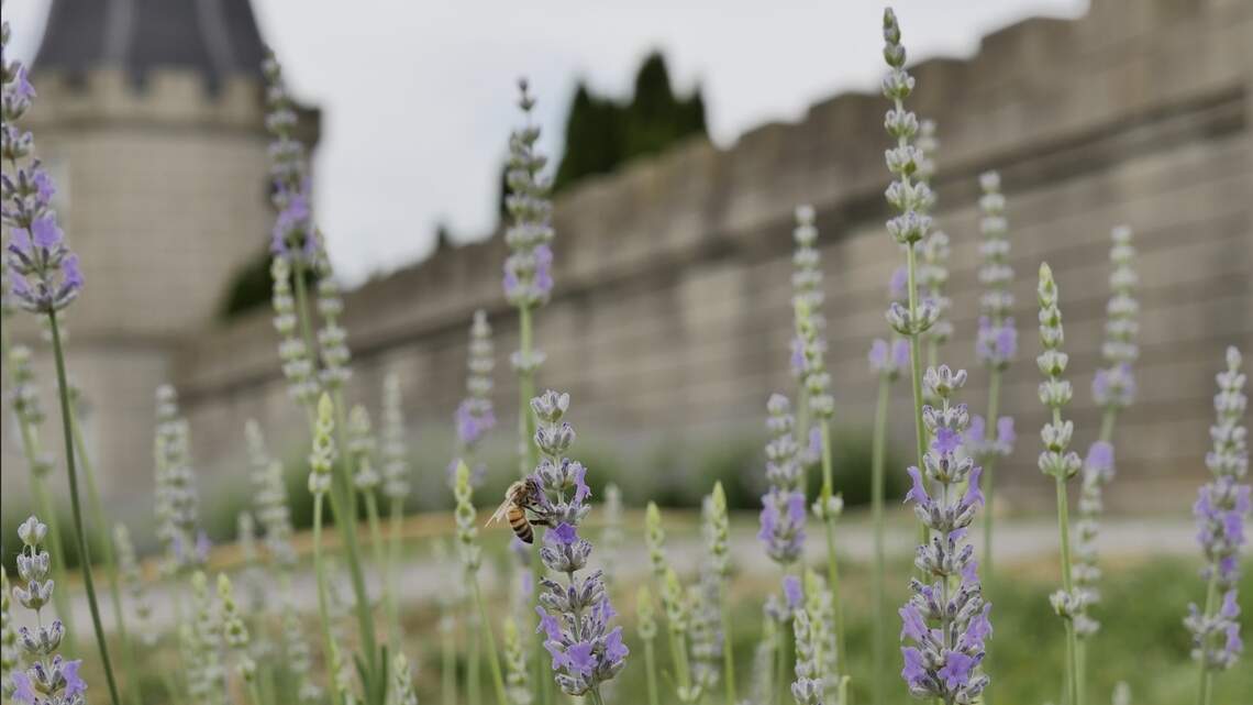 Southern Living ranks 2 Kentucky destinations among the South's best. Here’s why