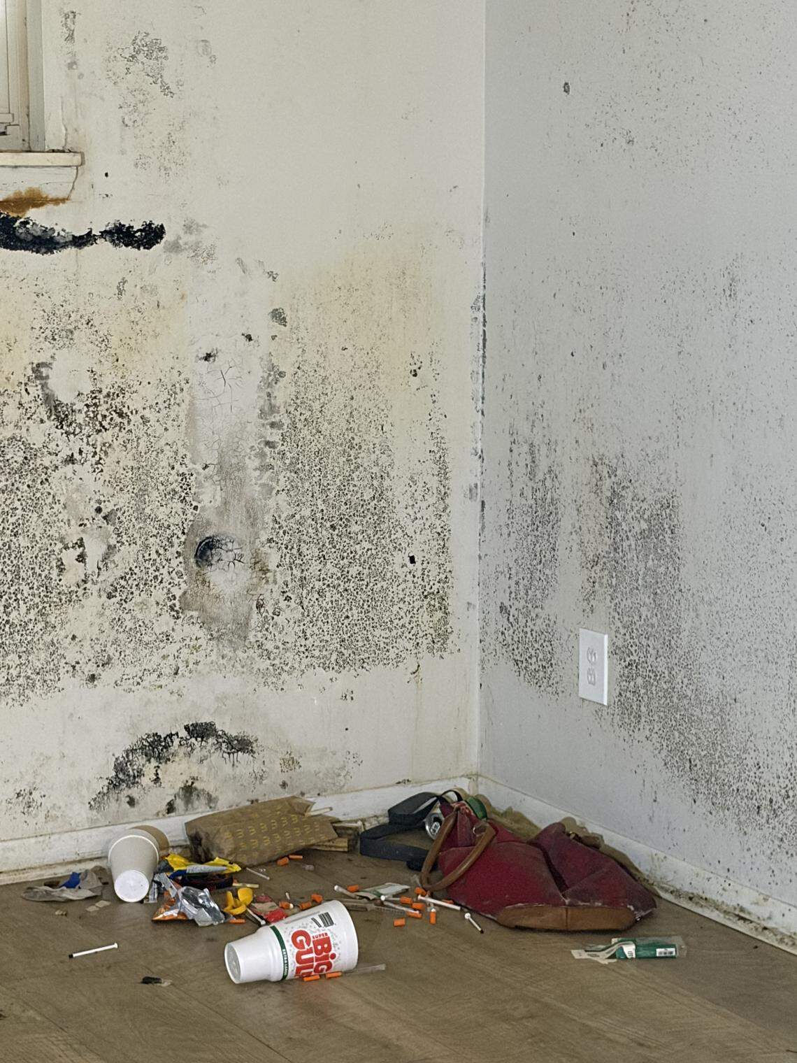 An apartment unit on Cambridge Drive that is covered with black mold and littered with drug paraphernalia and trash.
