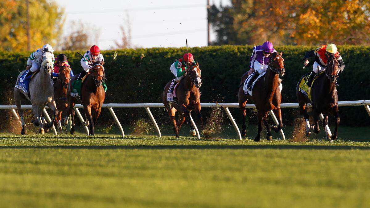 Together, with Colm O'Donoghue, left, pulled away from Marketing Mix, with Garrett Gomez up, right, to win the Queen Elizabeth II  Stakes at Keeneland  on Saturday October 15, 2011  in Lexington, Ky.  Photo by Mark Cornelison | Staff