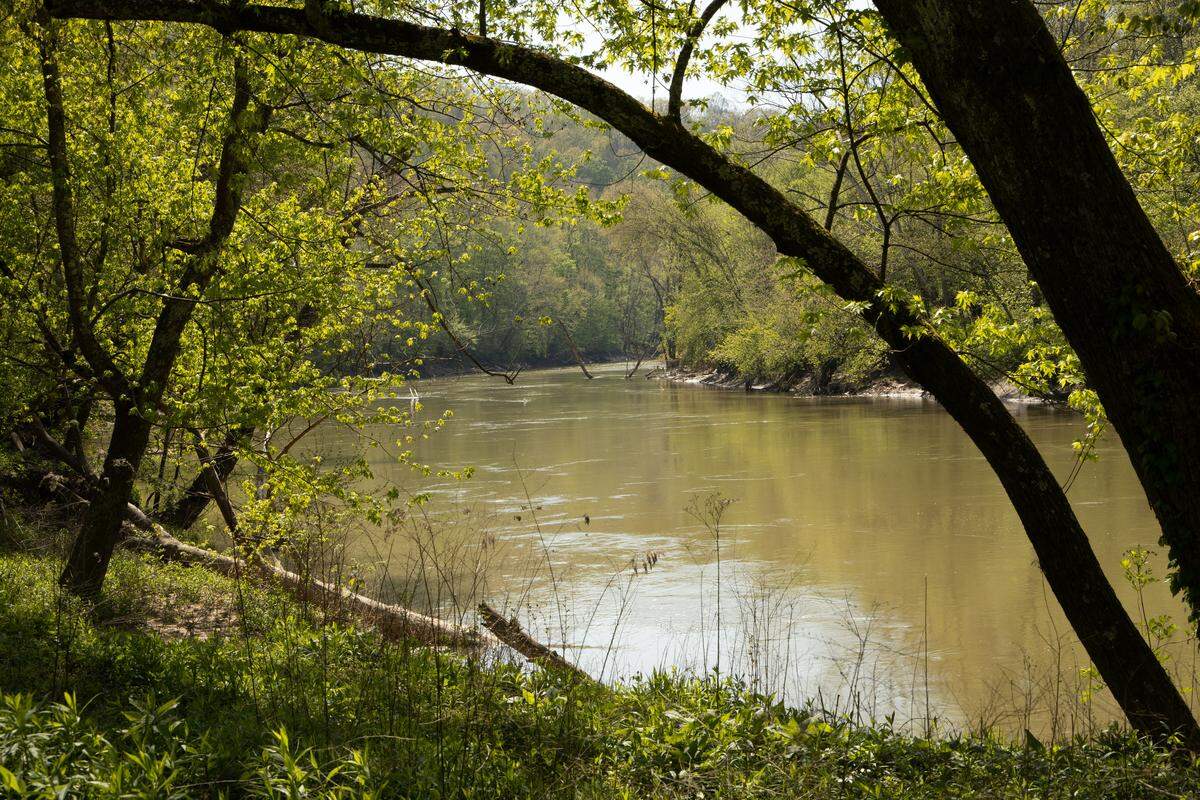 The Green River, a critical aquatic species habitat, winds through Mammoth Cave National Park.