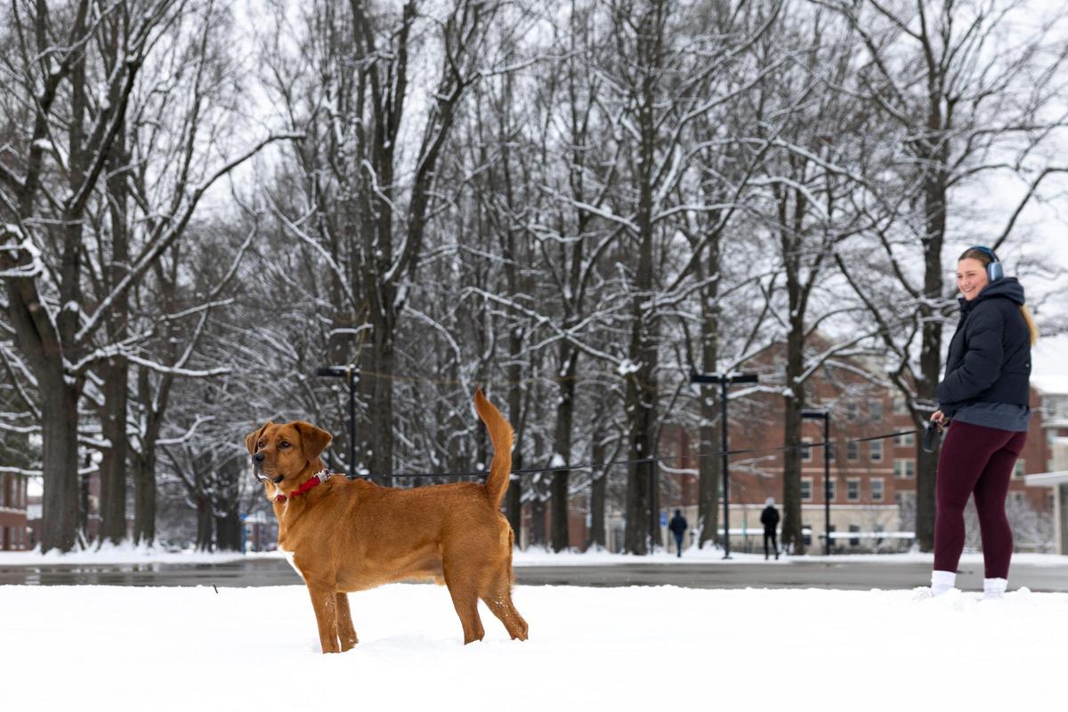 Casey Alworth, and her dog ‘Red’ play in the snow on the University of Kentucky’s campus in Lexington, Ky, Friday, January 19, 2024.