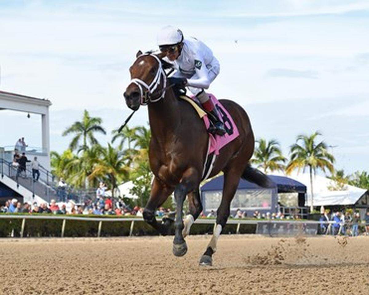 River Thames is the 5-2 morning-line favorite for Tuesday’s $1.25 million Toyota Blue Grass Stakes at Keeneland, a major prep race for the May 3 Kentucky Derby in Louisville.