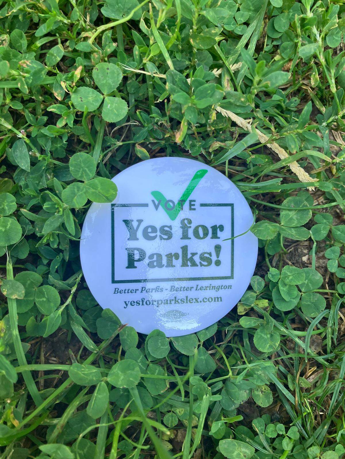A button in support of the Yes for Parks initiative, which would give additional funding to Lexington’s 100 parks.