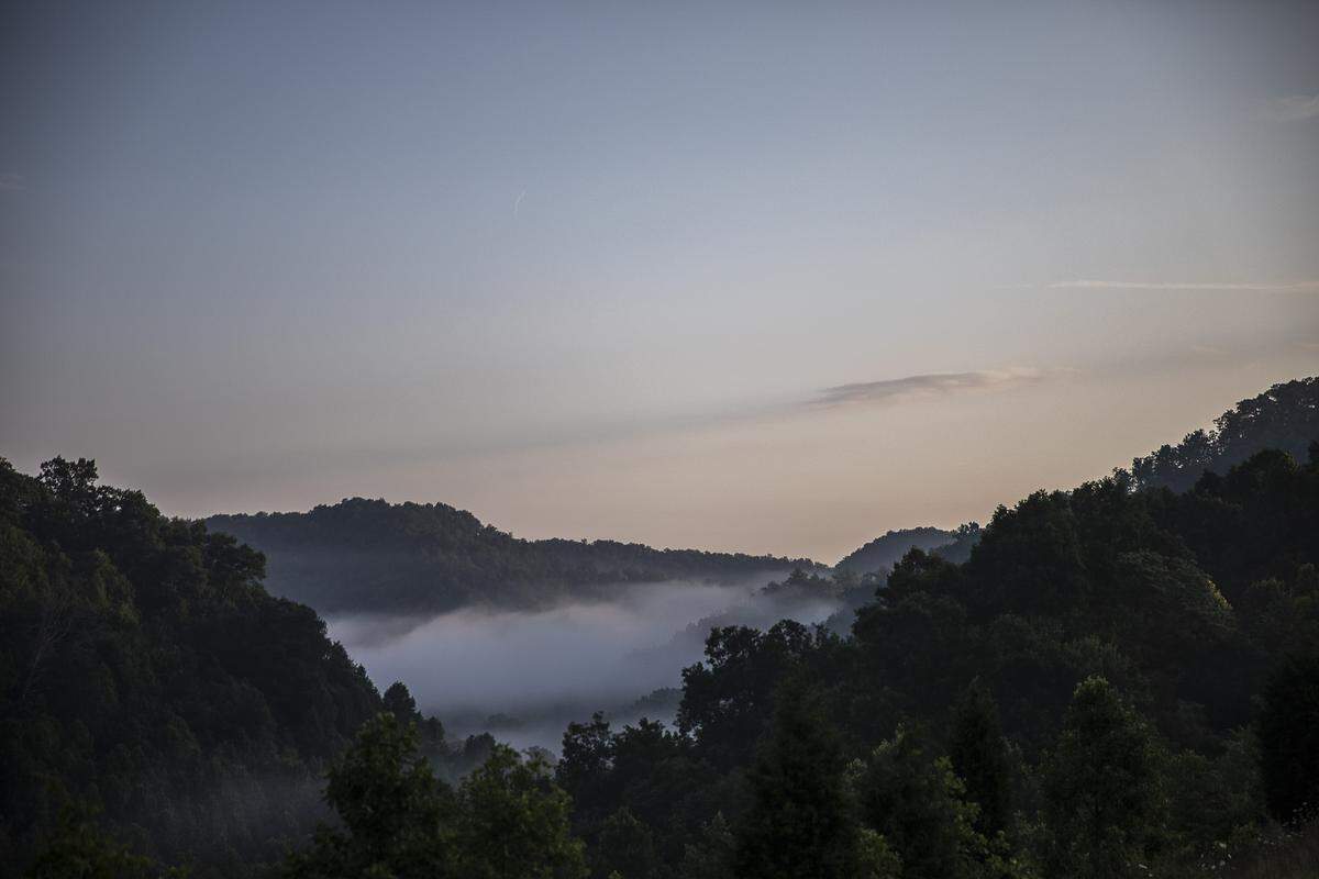 Dawn breaks in the Daniel Boone National Forest on Saturday, July 6, 2019.