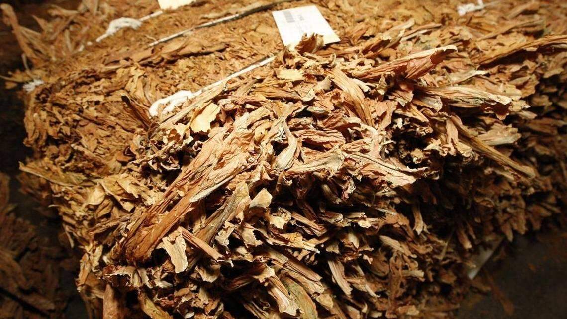 Some of the tobacco baled and ready for sale on the opening day of the 2008 burley tobacco market held at Clay’s Tobacco Warehouse in Mount Sterling.