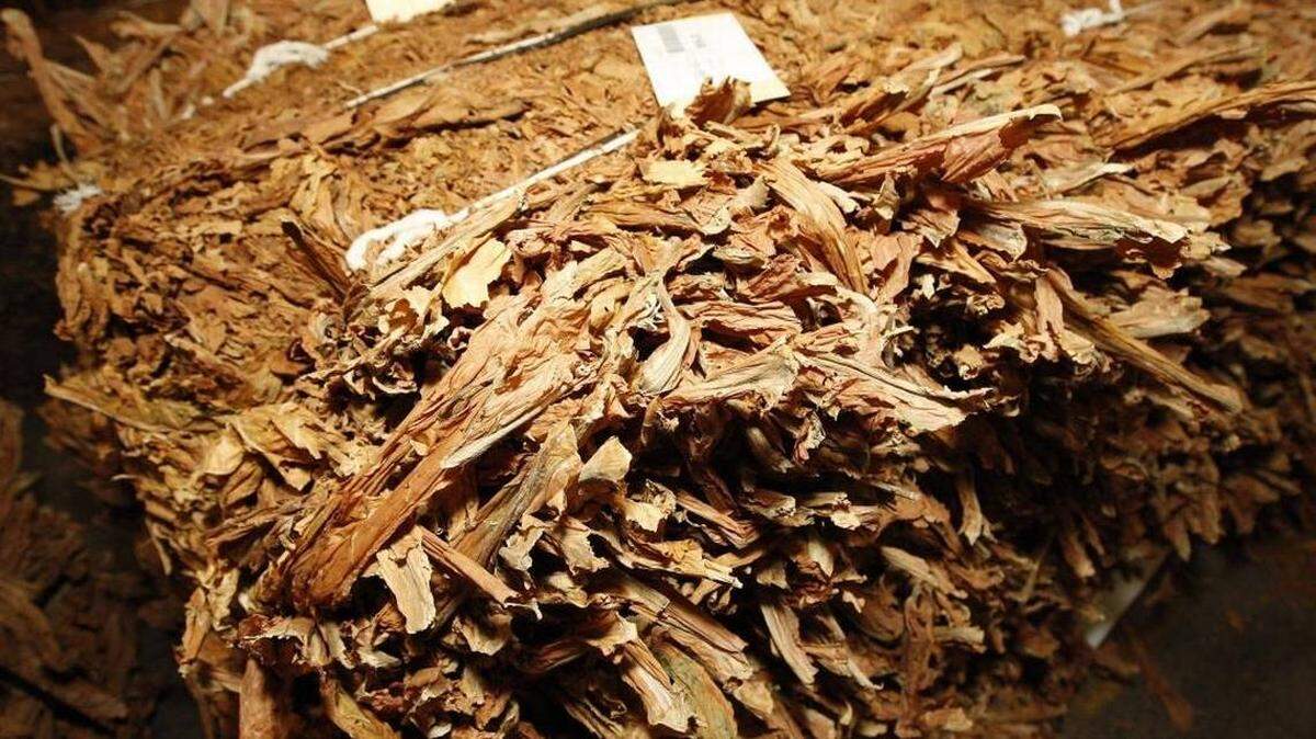 Some of the tobacco baled and ready for sale on the opening day of the 2008 burley tobacco market held at Clay’s Tobacco Warehouse in Mount Sterling.