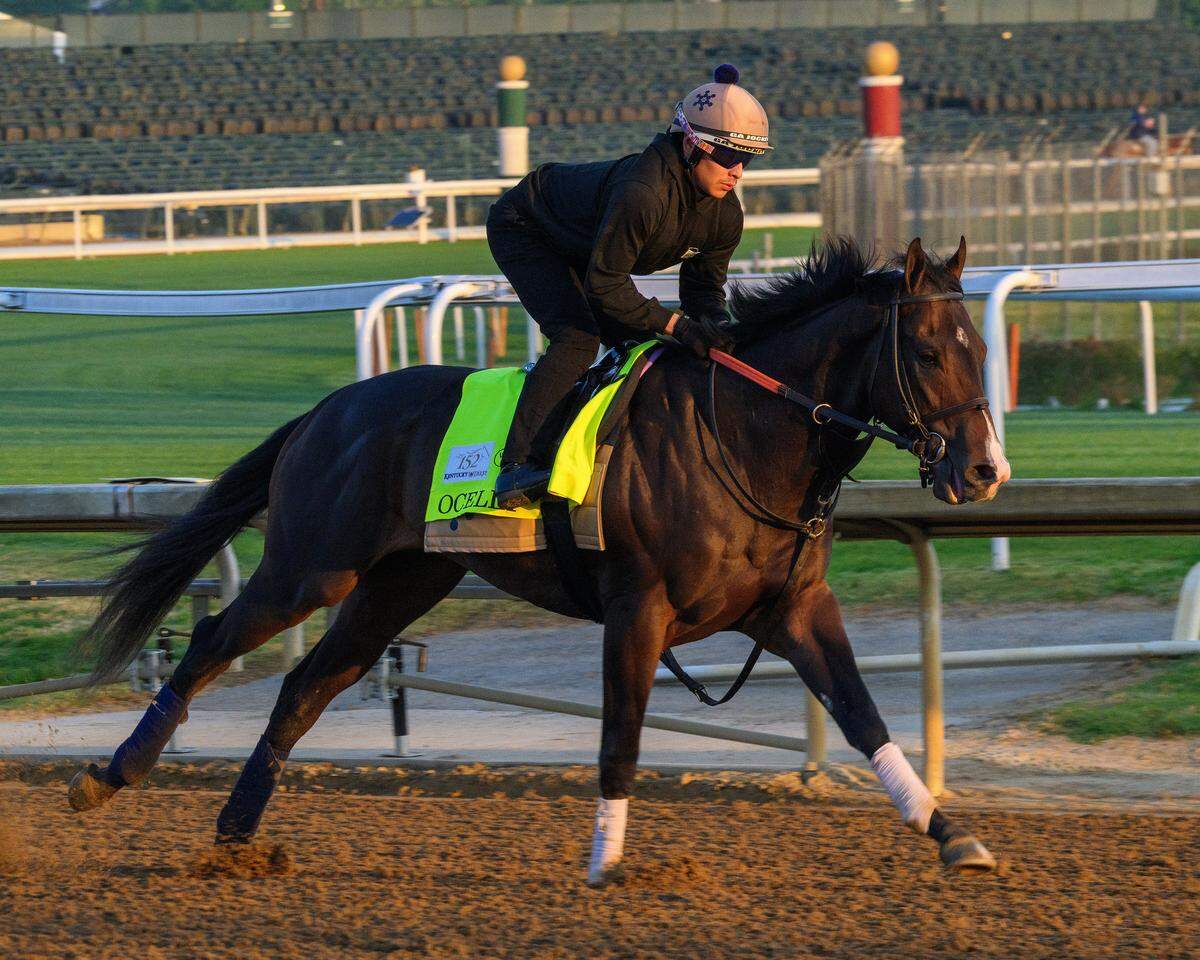 Ocelli is the second horse on the also-eligible list for the 2026 Kentucky Derby. He’s trained by Whit Beckman.