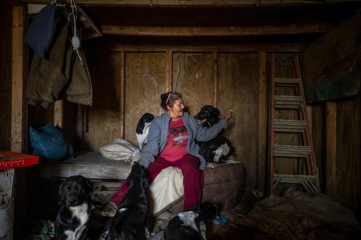 A few of Melissa Bryant’s dogs poses with her for a portrait inside the dwelling where she used to live in Haddix, Ky. Flood waters destroyed the building.