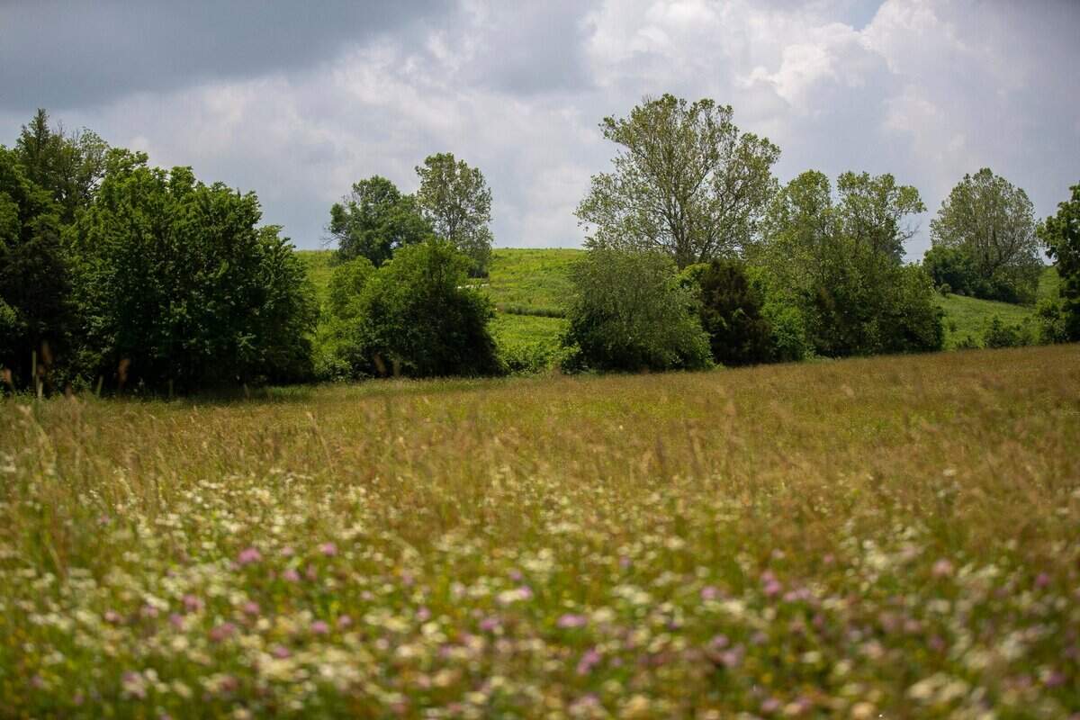 The Perryville Battlefield was the site of the largest battle in Kentucky during the Civil War.