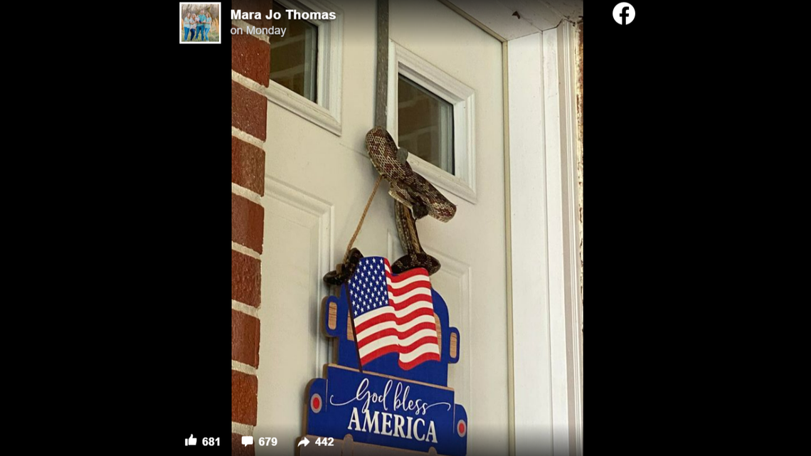 A snake coiled on a door hanger bit a Kentucky mother in the face.