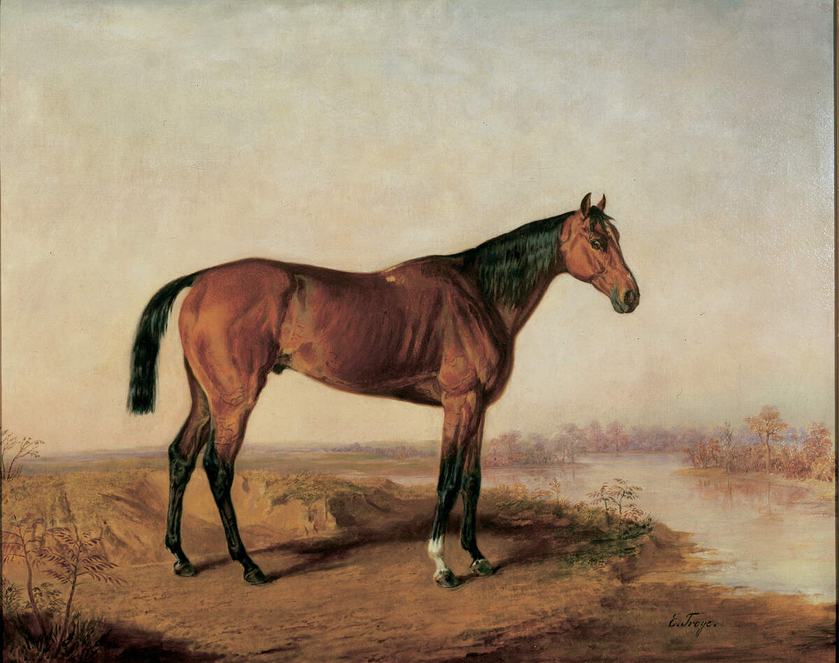 Kentucky, 1866, by Edward Troye; Oil on canvas.