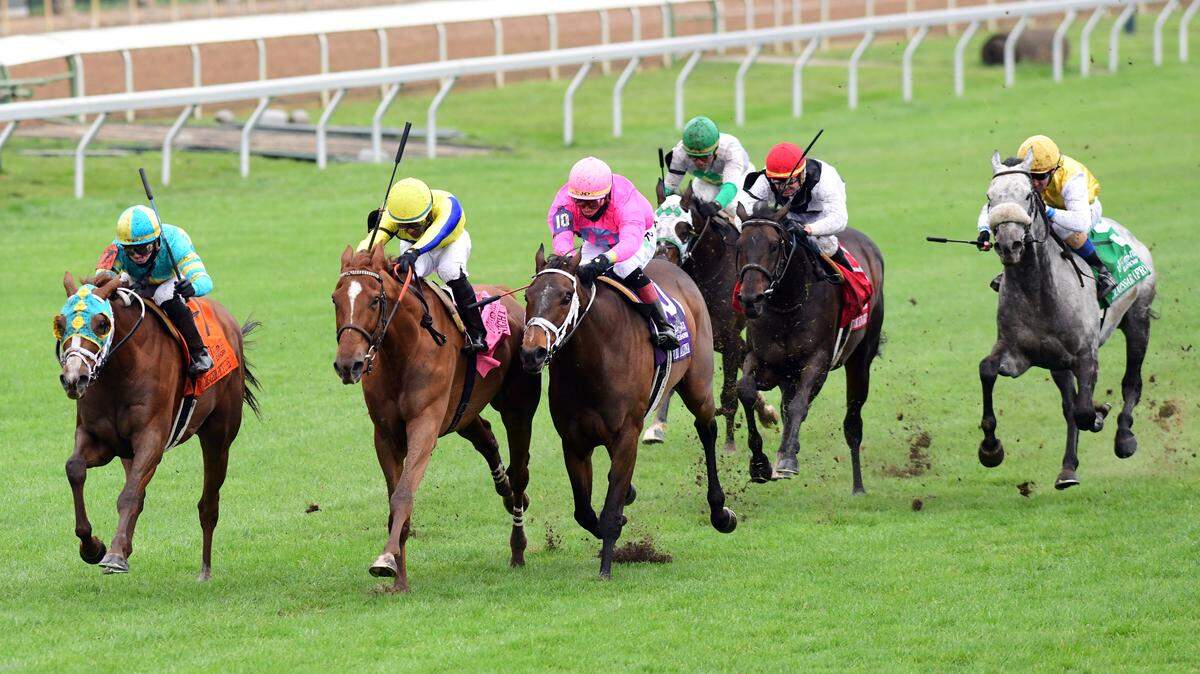Tyler Gaffalione guided Bigger Picture, left, to victory in the Dixiana Elkhorn on Saturday at Keeneland. It was the sixth graded stakes victory for the gelding.